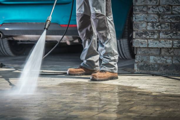 Best Paint Preparation  in Hialeah, FL