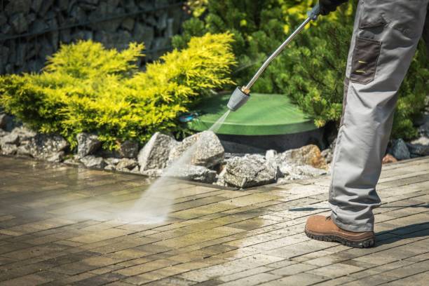 Best Spring Cleaning  in Hialeah, FL