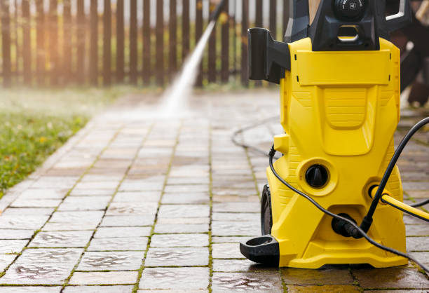 Best Animal Enclosure Cleaning  in Hialeah, FL